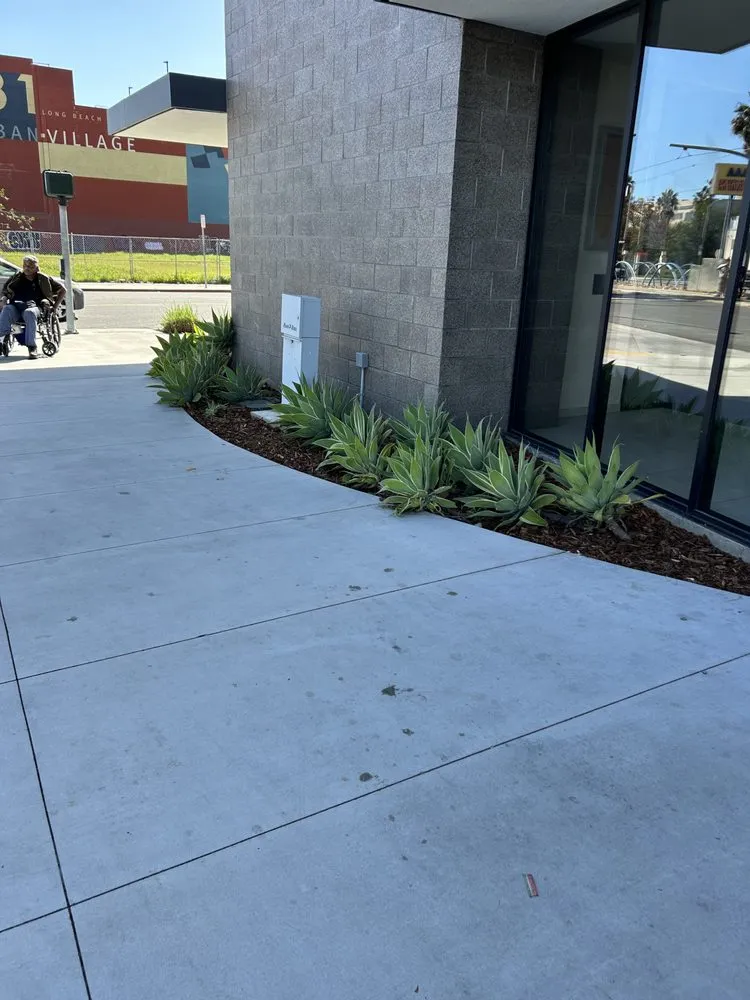 Reliable landscaping services for year-round maintenance in Carson, CA by Ruiz Garden Service