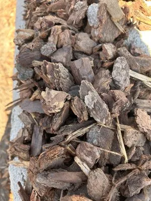 Ruiz Garden Service Logo