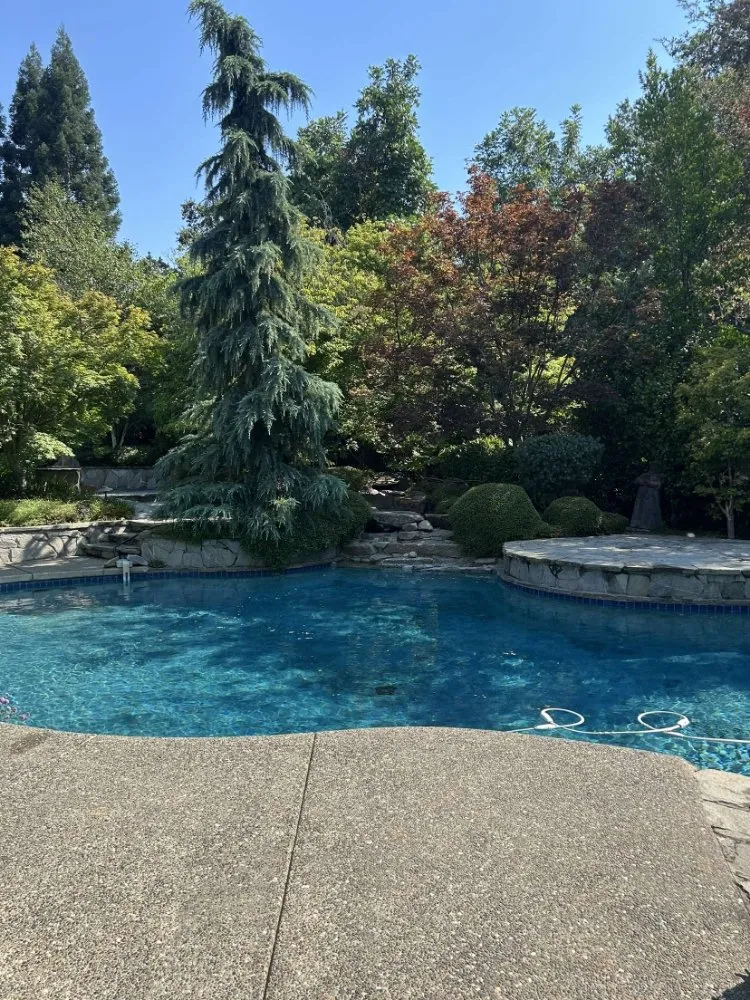 Professional landscape design in Rio Linda, CA - Ruiz Garden Services