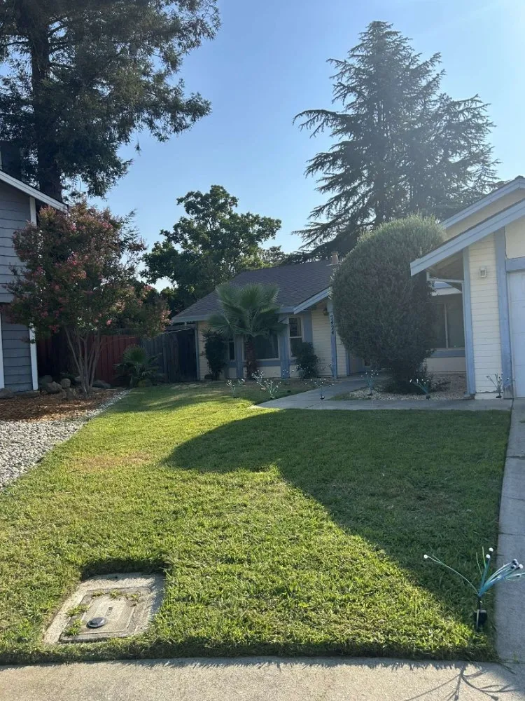 Custom lawn care service in Rio Linda, CA by Ruiz Garden Services