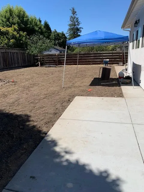 Custom yard cleanup service in Fremont, CA - Ruiz Gardening
