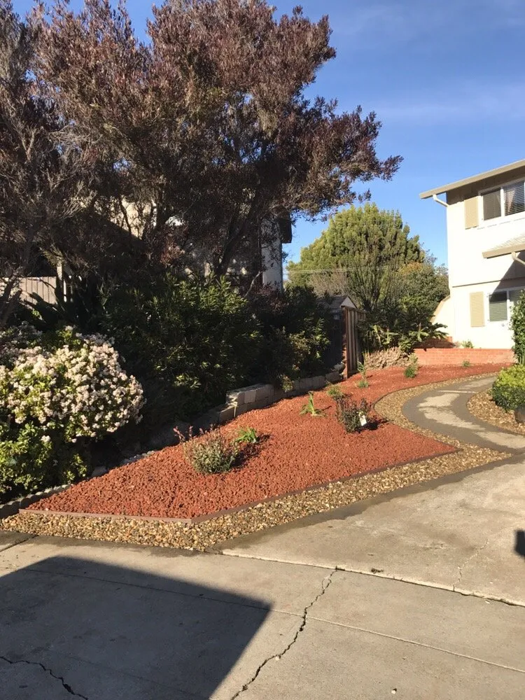 Reliable yard maintenance in Fremont, CA by Ruiz Gardening