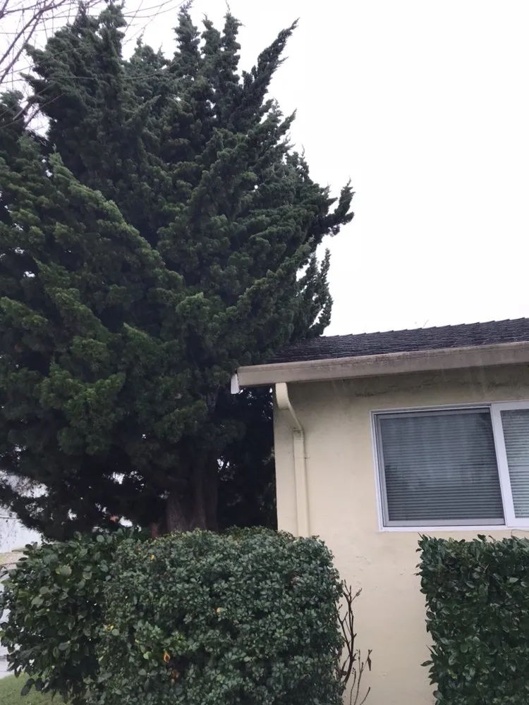 Affordable garden landscaping in Fremont, CA - Ruiz Gardening