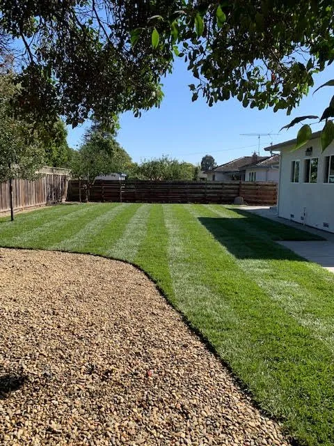 Trusted yard cleanup service in Fremont, CA - Ruiz Gardening