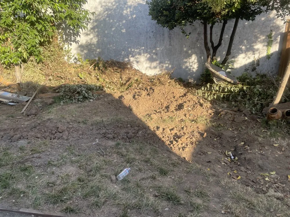 Trusted yard maintenance experts serving Sacramento, CA - Ruiz Handyman