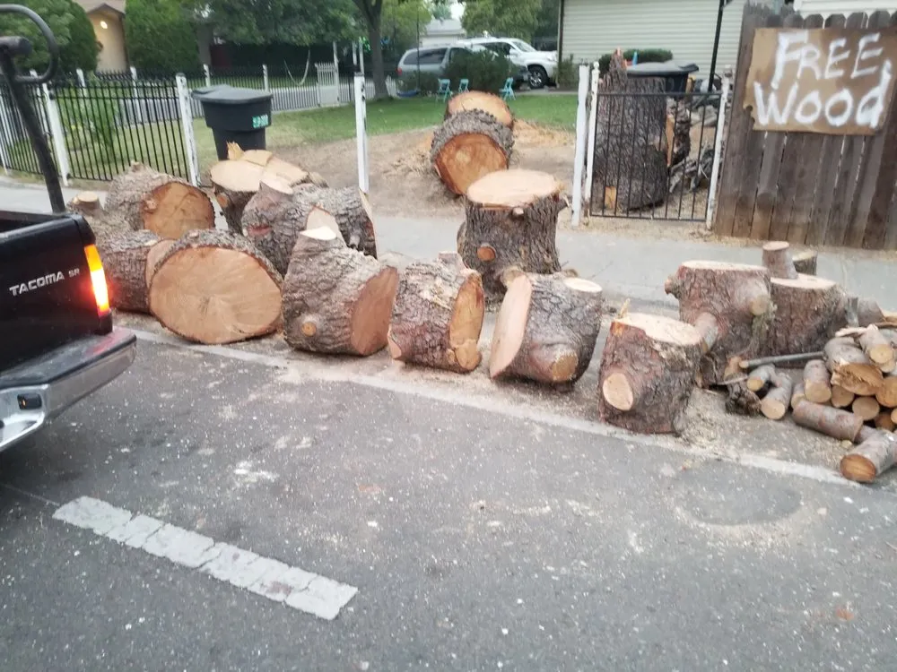 Expert yard cleanup service in Sacramento, CA - Ruiz Handyman