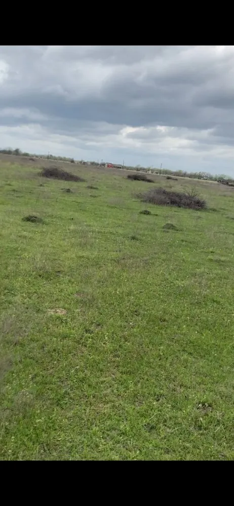 Custom landscape installation experts serving Brookshire, TX - Ruiz Land services