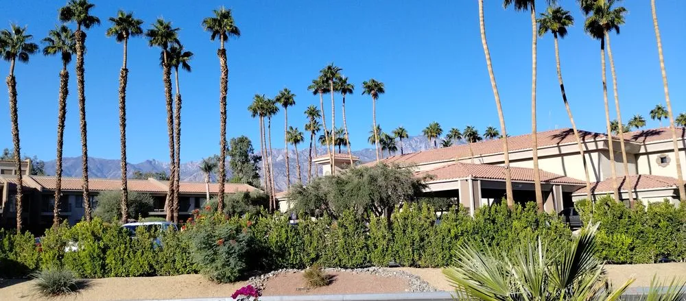 Trusted residential landscaping experts serving Desert Hot Springs, CA - Ruiz Landsaping