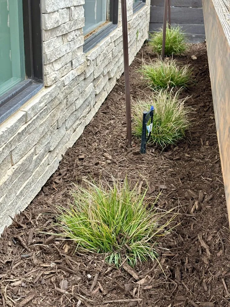 Affordable yard cleanup service for homes in Sachse, TX by Ruiz Landscape & Lawn Care