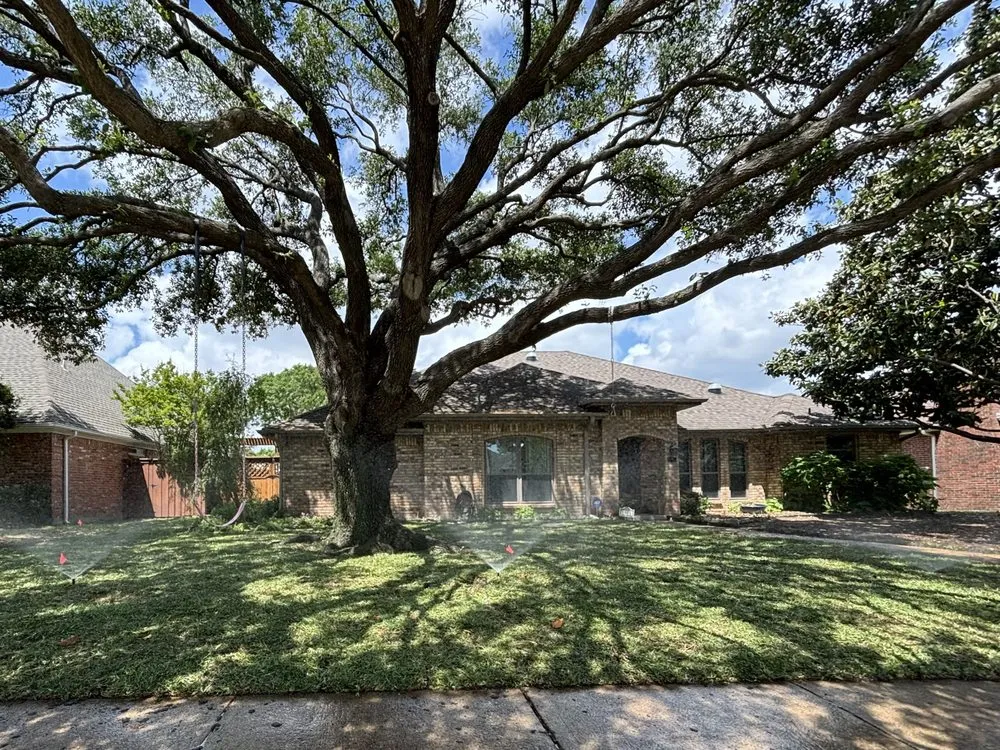 Top-rated lawn care service in Sachse, TX - Ruiz Landscape & Lawn Care