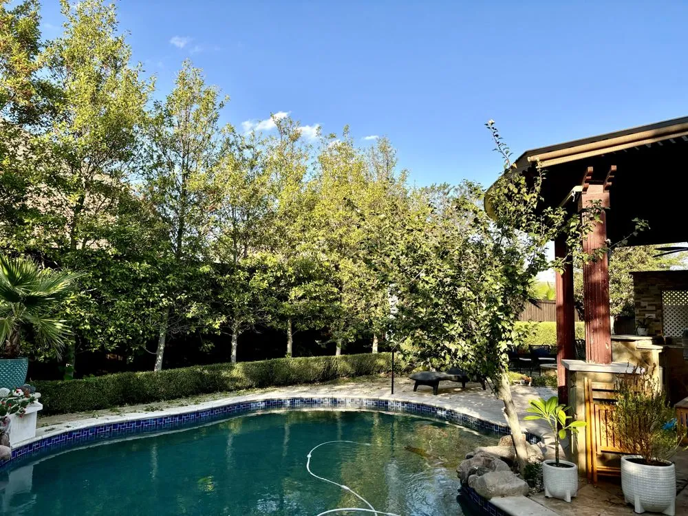 Reliable outdoor landscaping in Sachse, TX by Ruiz Landscape & Lawn Care