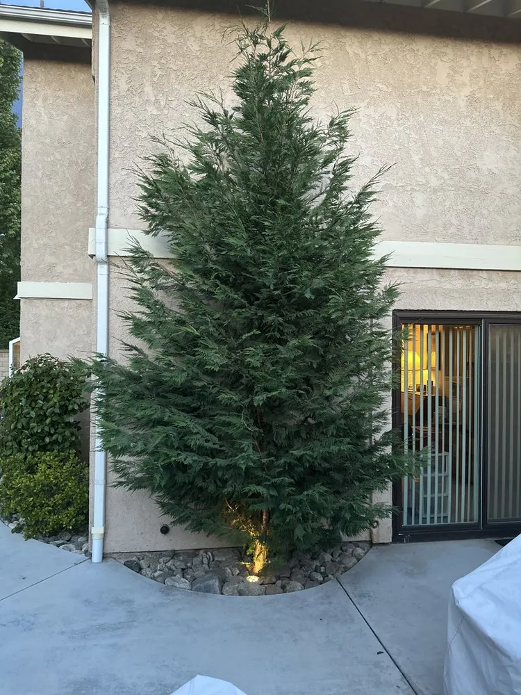 Custom landscape installation for outdoor upgrades across Hemet, CA - Ruiz Landscape