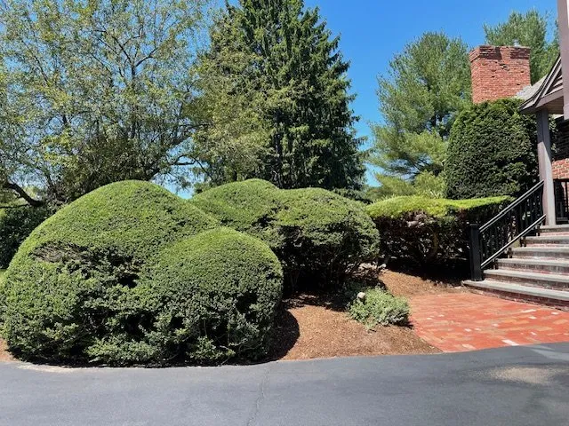 Expert residential landscaping experts serving West Deptford, NJ - Ruiz Landscaping & Lawn Care