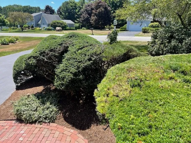 Trusted garden landscaping near you in West Deptford, NJ by Ruiz Landscaping & Lawn Care