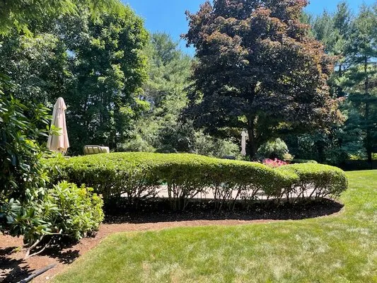 Ruiz Landscaping & Lawn Care