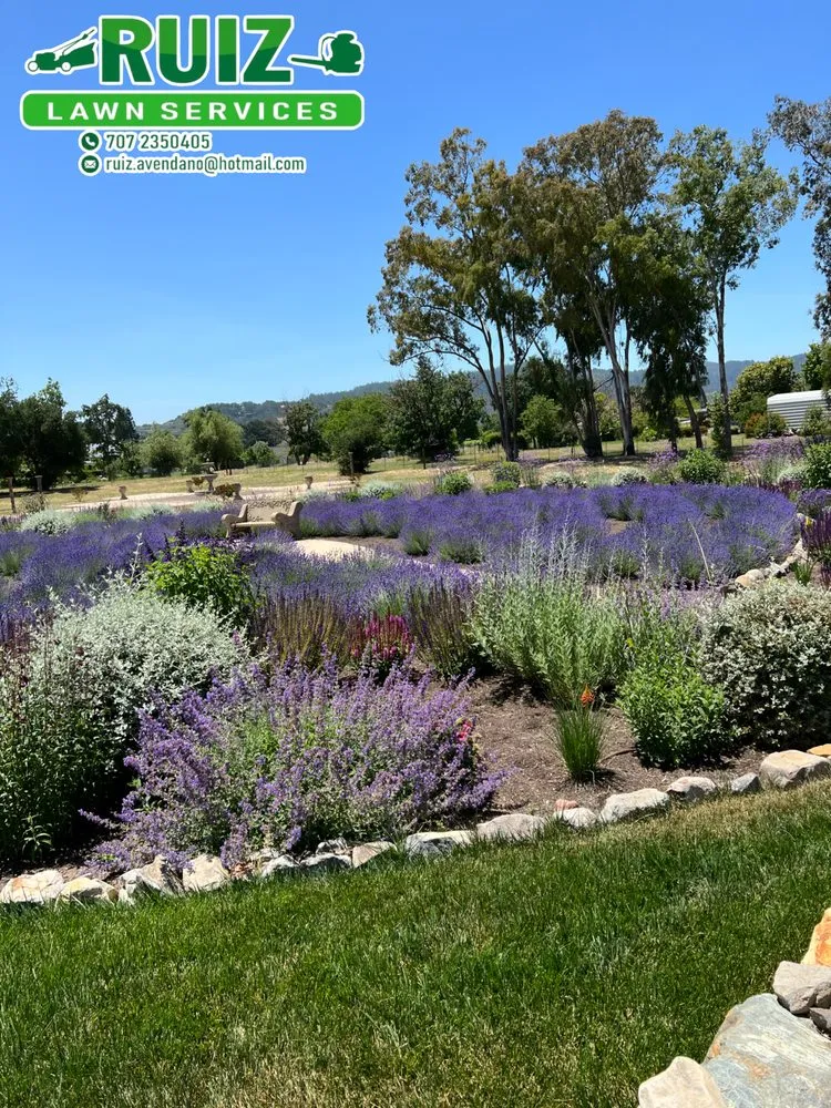 Custom landscape design in Clearlake, CA by Ruiz Landscaping