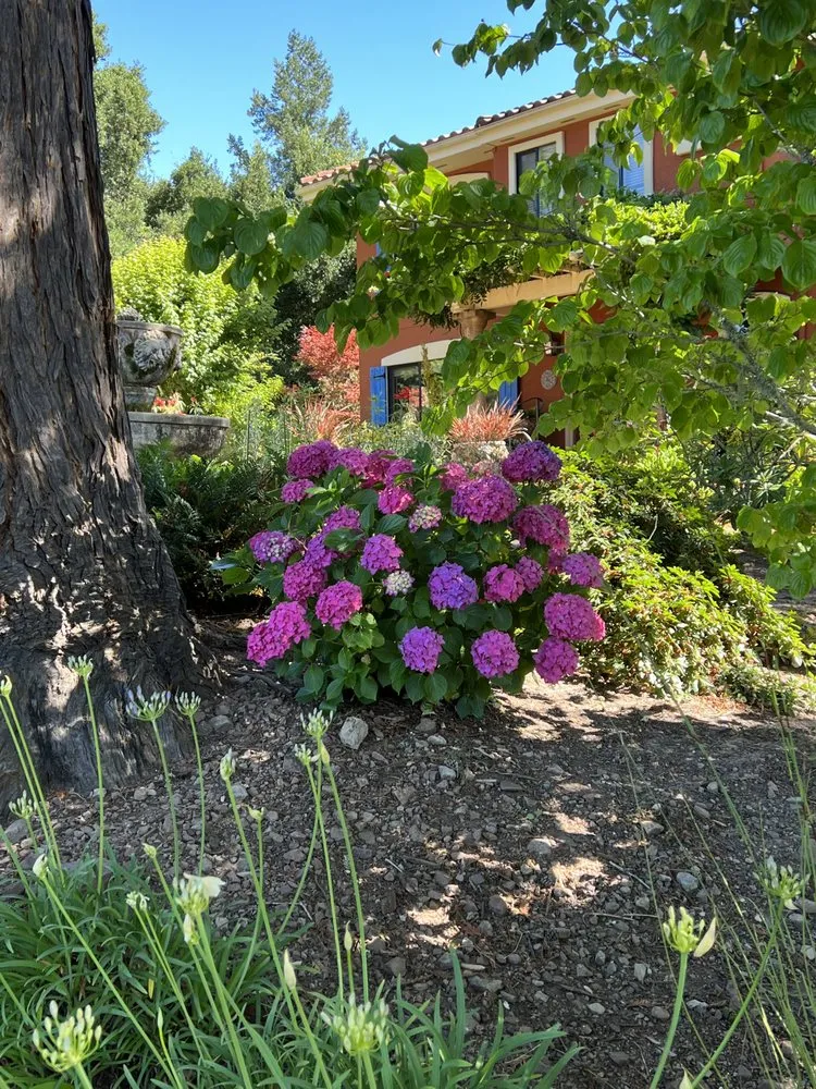 Reliable yard cleanup service near you across Clearlake, CA - Ruiz Landscaping