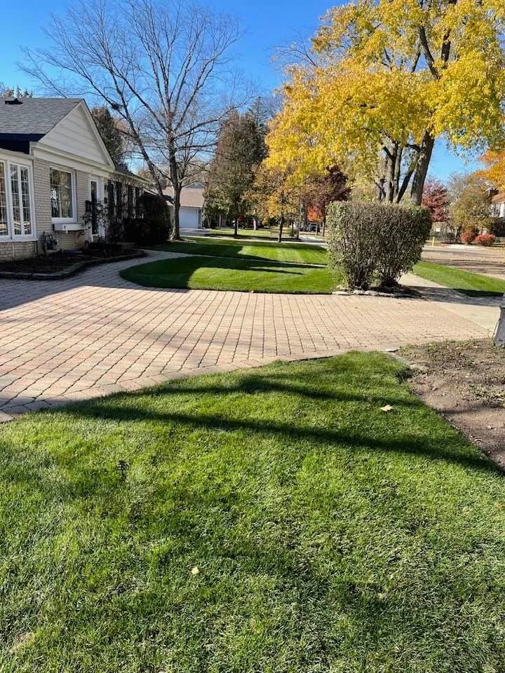 Professional yard cleanup service with custom design across Evanston, IL - Ruiz Landscaping