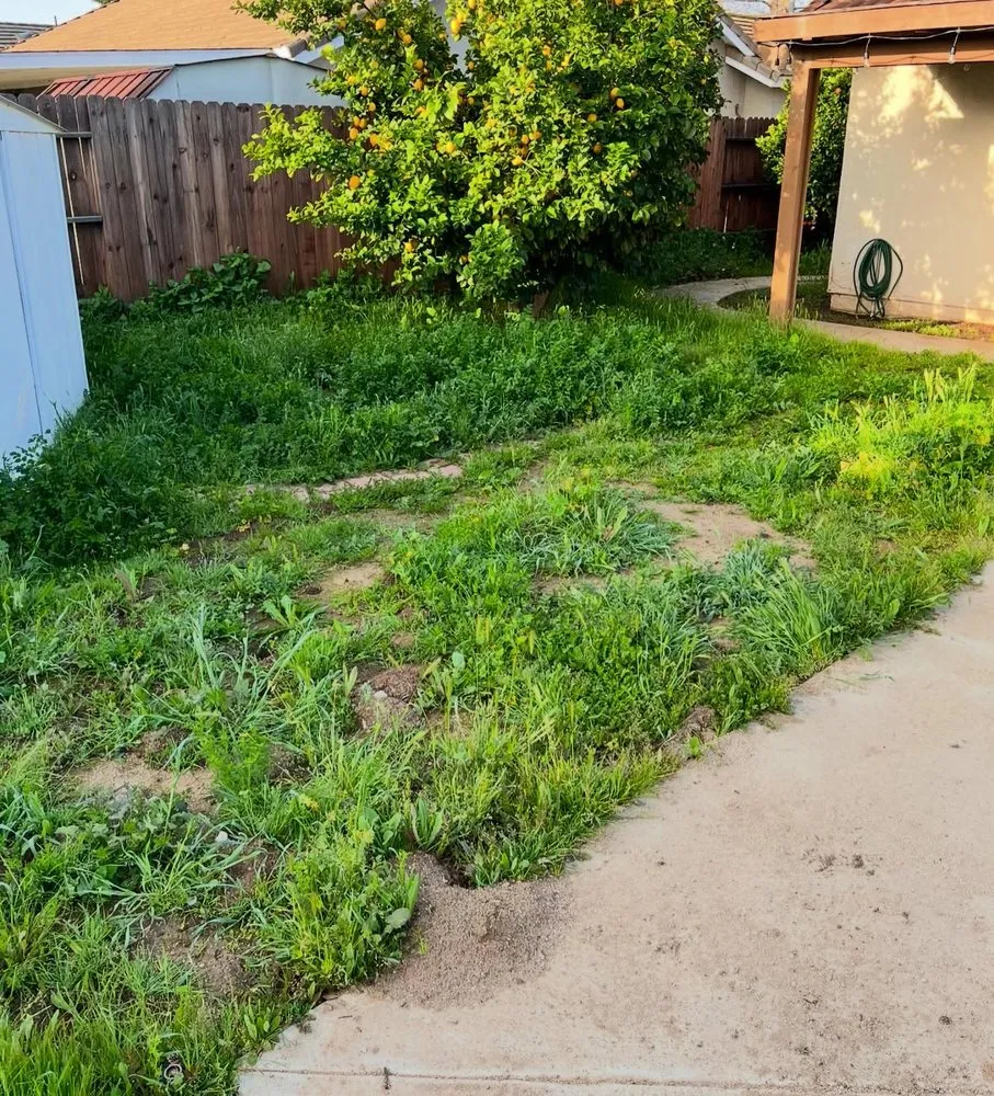 Professional lawn mowing service for homes in Ontario, CA by Ruiz Landscaping