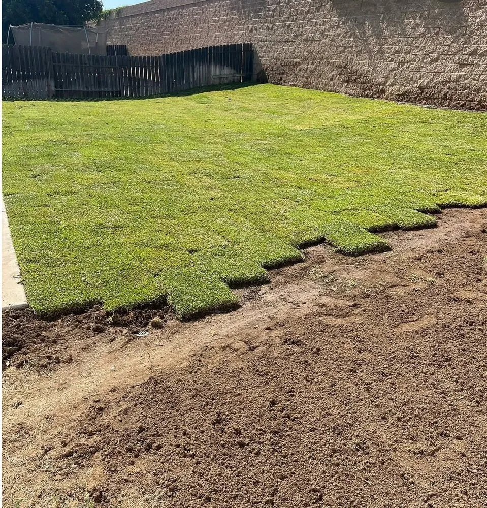 Professional yard maintenance for beautiful yards in Ontario, CA by Ruiz Landscaping