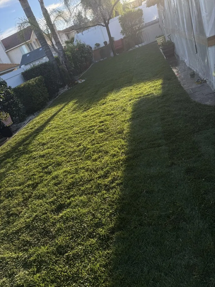 Trusted yard cleanup service near you in Ontario, CA by Ruiz Landscaping