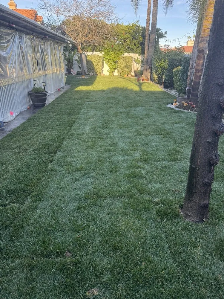 Top-rated lawn care service in Ontario, CA by Ruiz Landscaping