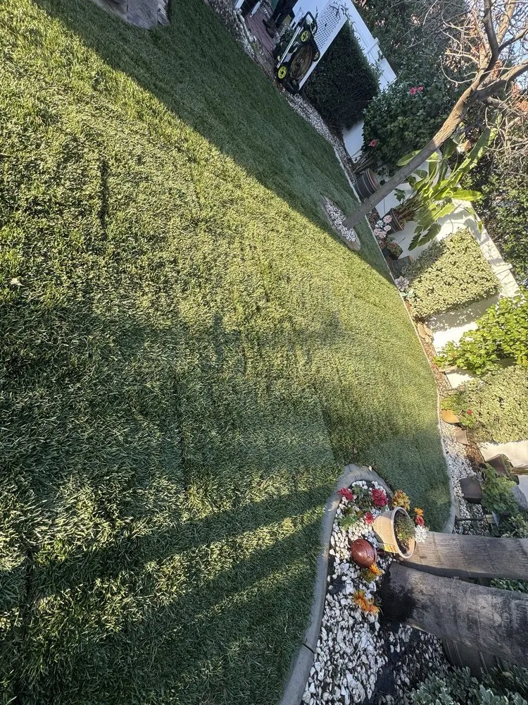 Trusted yard maintenance experts serving Ontario, CA - Ruiz Landscaping