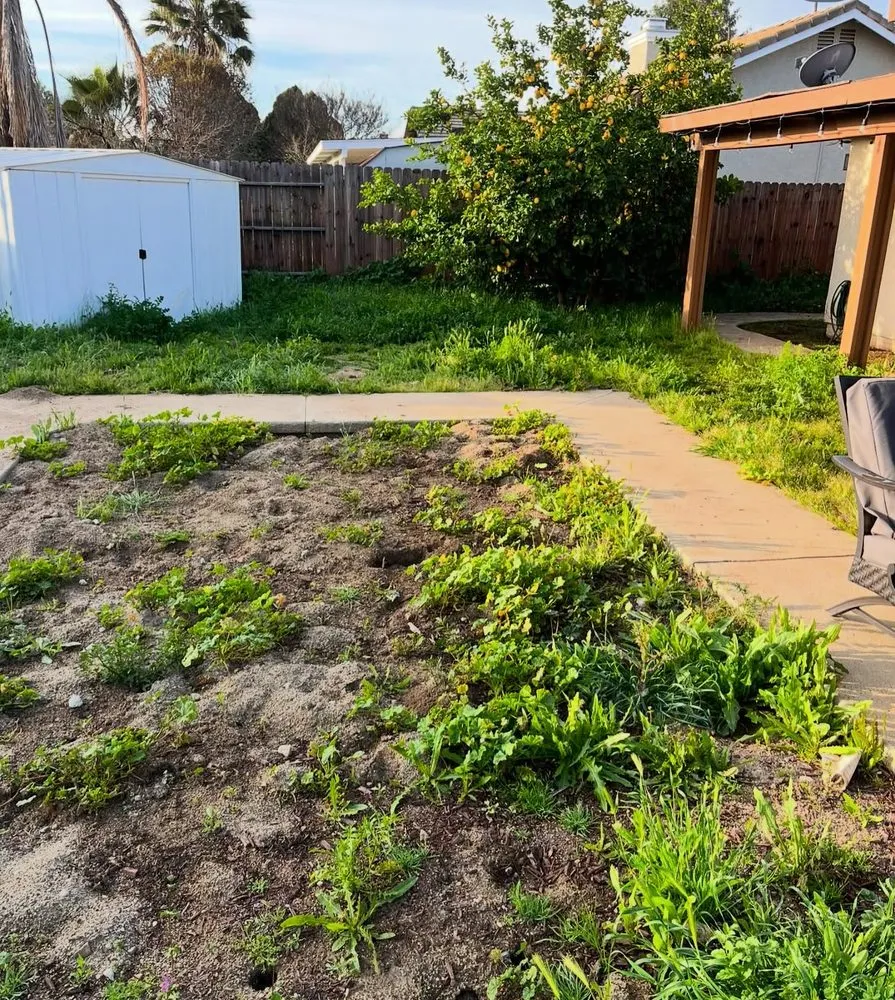 Expert yard cleanup service in Ontario, CA - Ruiz Landscaping