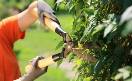 Reliable outdoor landscaping experts serving Rockport, TX - Ruiz Landscaping