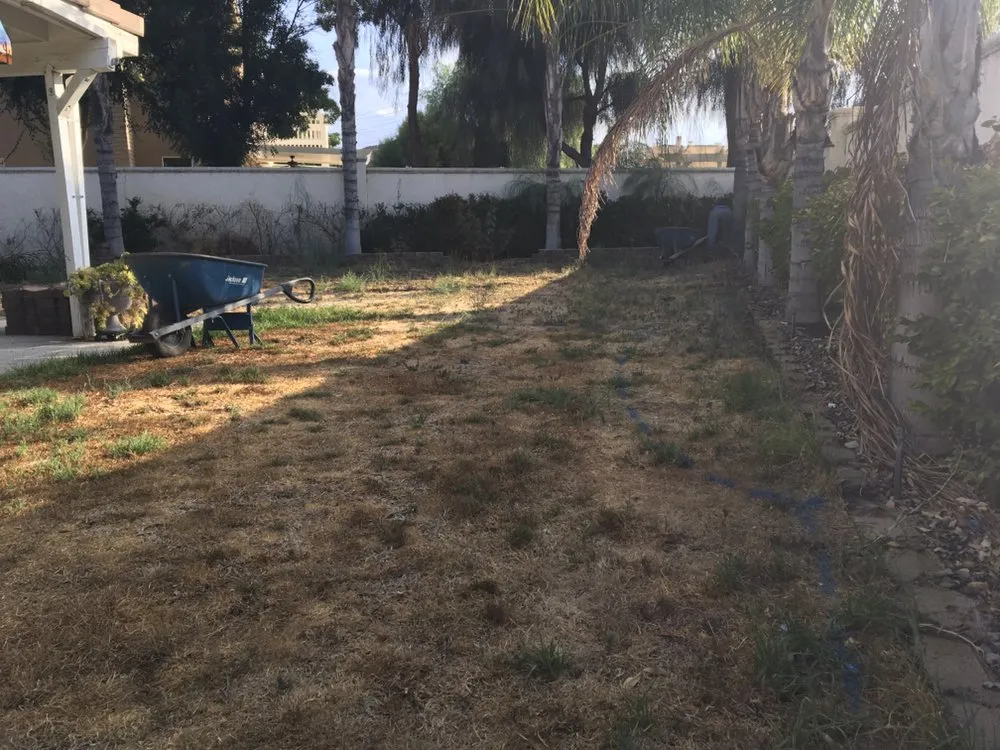 Professional lawn care service experts serving Temecula, CA - Ruiz Landscaping