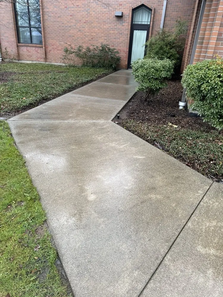 Professional yard cleanup service in Aberdeen, WA - Ruiz Lawn & Maintenance Services