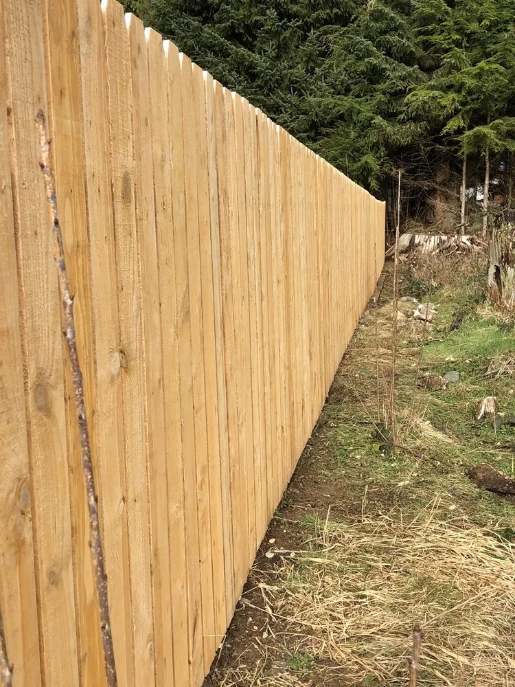 Top-rated yard cleanup service in Aberdeen, WA by Ruiz Lawn & Maintenance Services