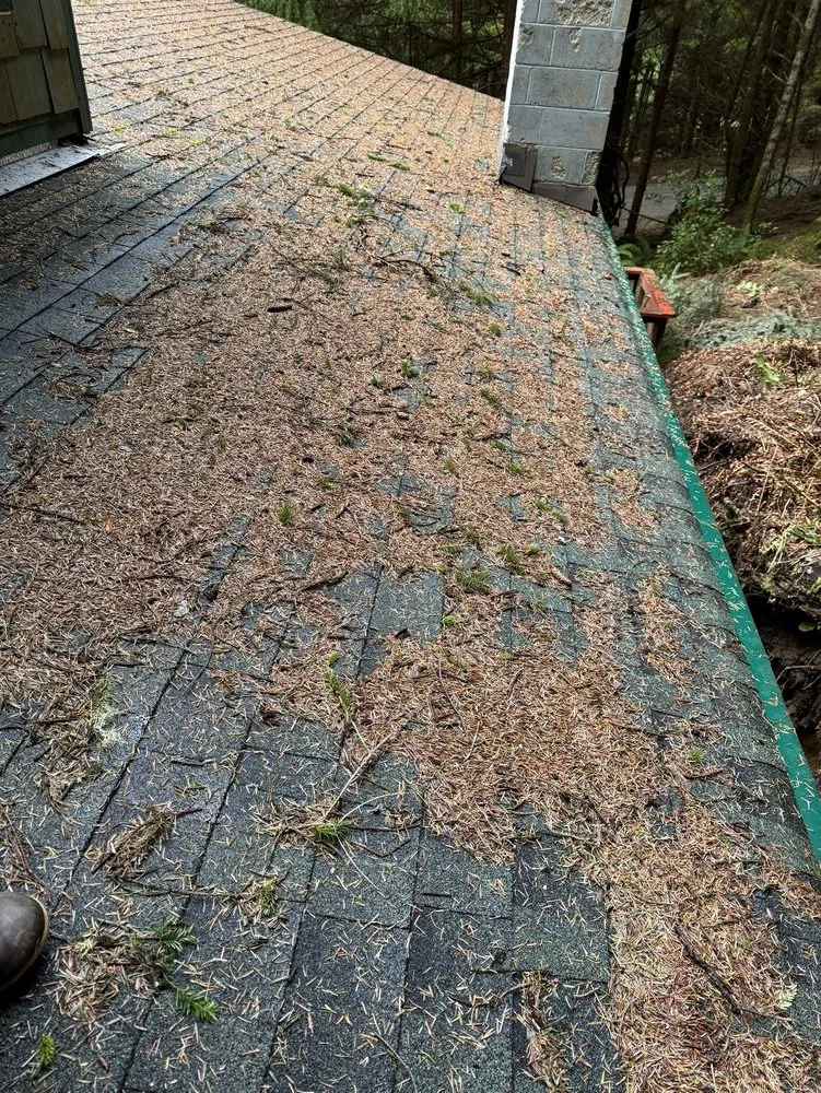 Local yard cleanup service in Aberdeen, WA - Ruiz Lawn & Maintenance Services