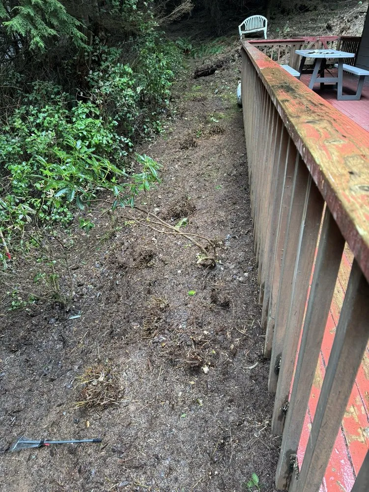 Reliable residential landscaping with custom design in Aberdeen, WA by Ruiz Lawn & Maintenance Services