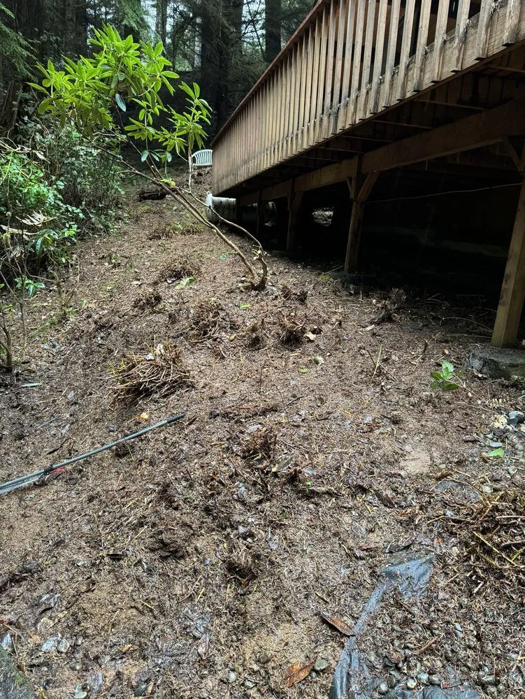 Professional landscaping services near you across Aberdeen, WA - Ruiz Lawn & Maintenance Services