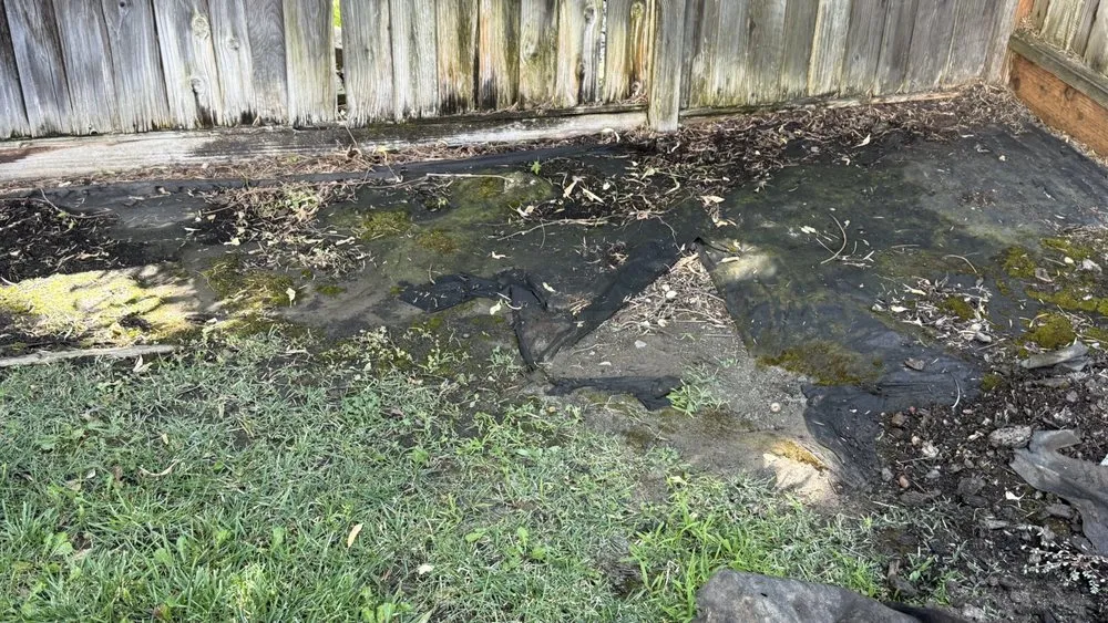 Local landscaping services in Modesto, CA by Ruiz Lawn Care