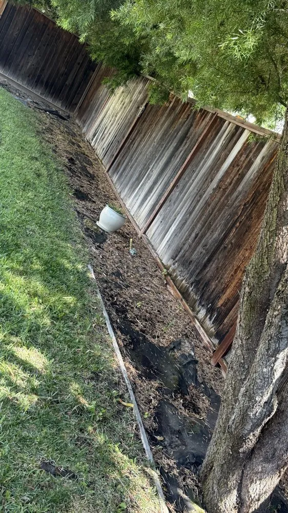 Local yard cleanup service experts serving Modesto, CA - Ruiz Lawn Care