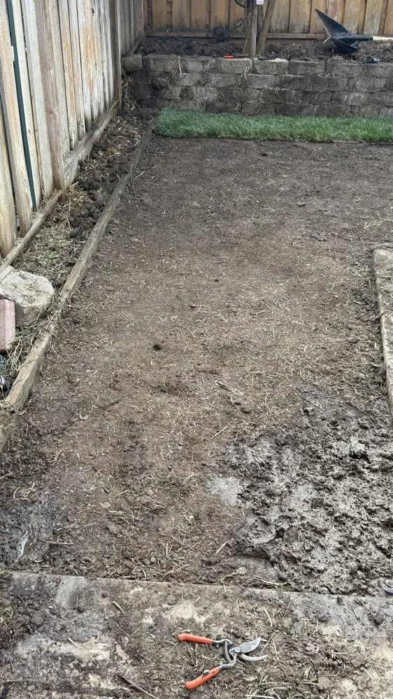 Professional landscape installation for outdoor upgrades across Modesto, CA - Ruiz Lawn Care