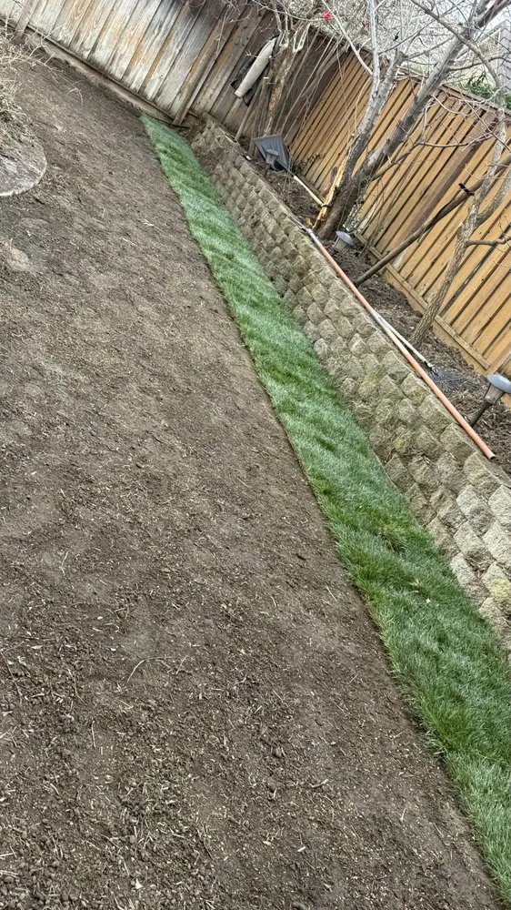 Custom yard maintenance experts serving Modesto, CA - Ruiz Lawn Care