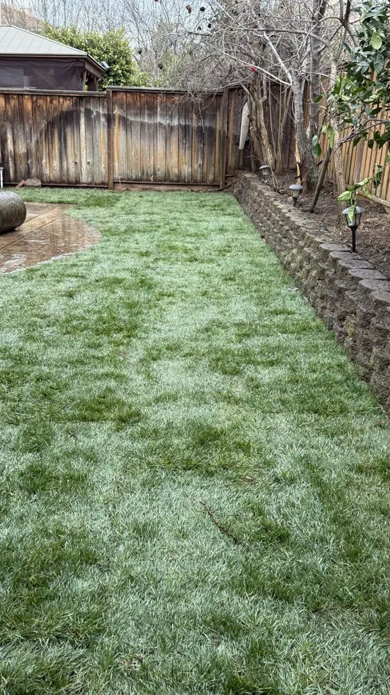Professional lawn mowing service in Modesto, CA by Ruiz Lawn Care