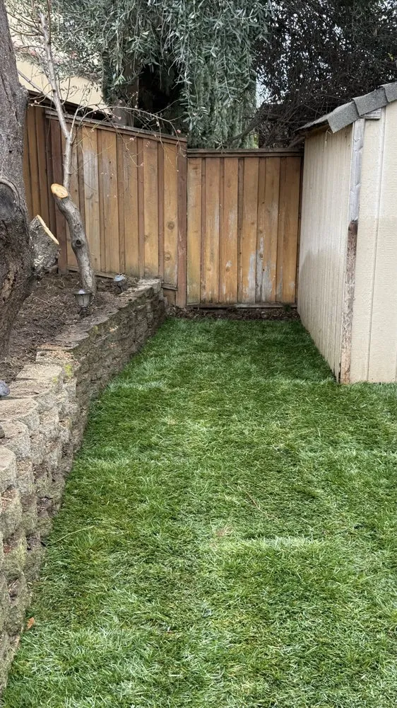 Affordable yard maintenance for year-round maintenance across Modesto, CA - Ruiz Lawn Care