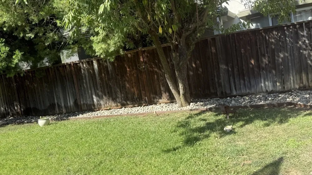 Affordable landscape installation in Modesto, CA - Ruiz Lawn Care