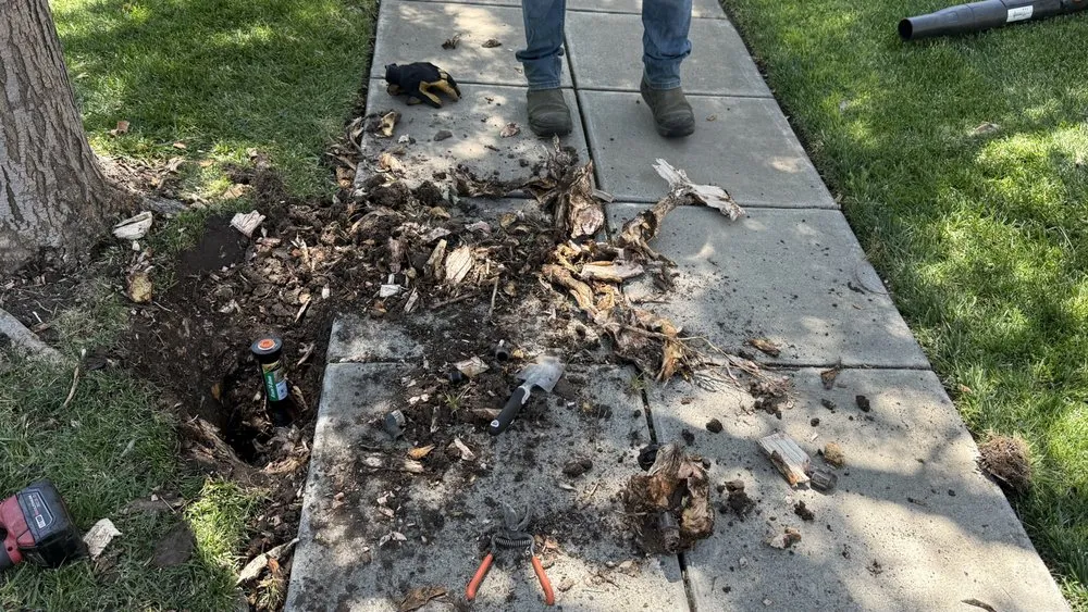 Affordable landscape design for homes across Modesto, CA - Ruiz Lawn Care