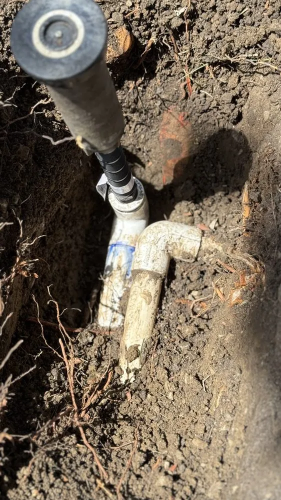 Affordable yard maintenance in Modesto, CA - Ruiz Lawn Care