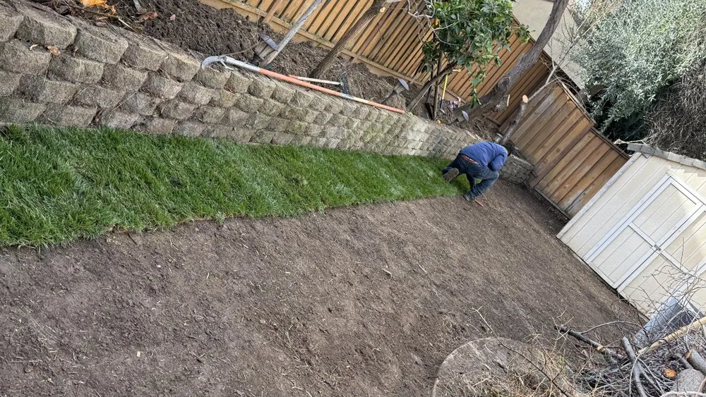 Top-rated landscape installation in Modesto, CA by Ruiz Lawn Care