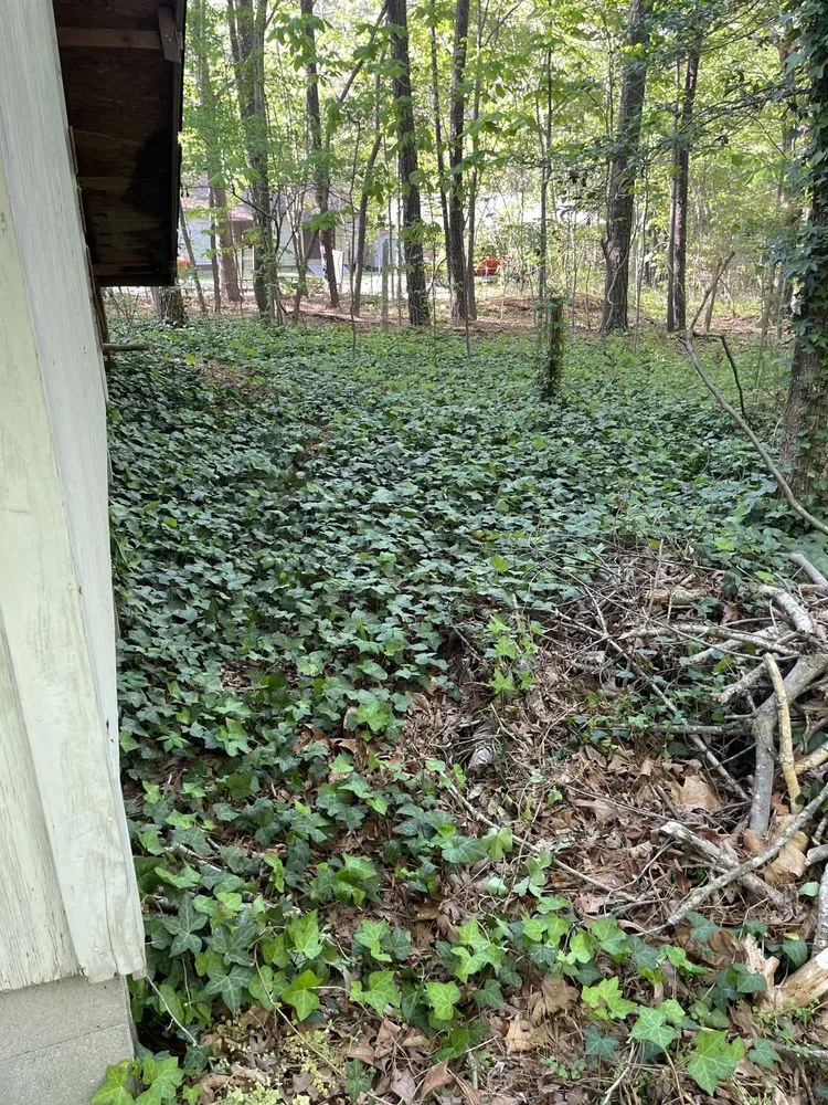 Trusted yard maintenance for beautiful yards in Raleigh, NC by Ruiz Lawn Care