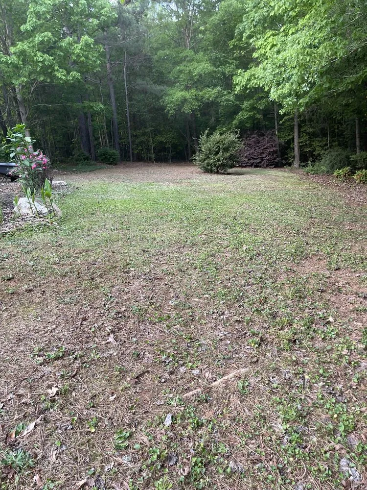 Trusted lawn care service for year-round maintenance across Raleigh, NC - Ruiz Lawn Care