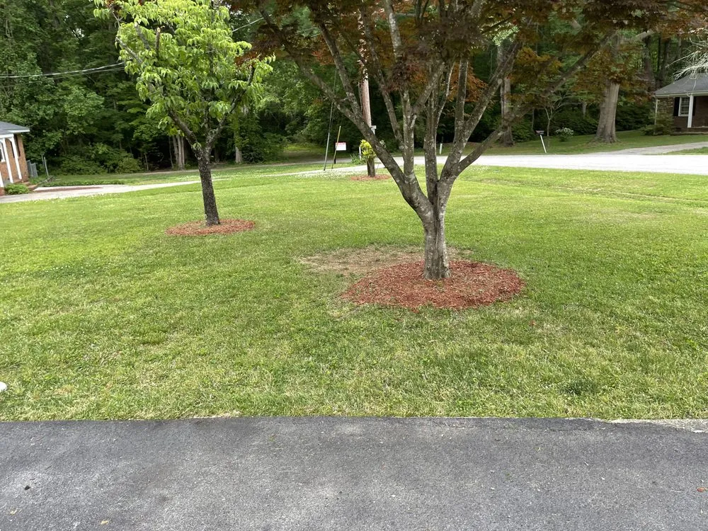 Professional landscape design in Raleigh, NC by Ruiz Lawn Care