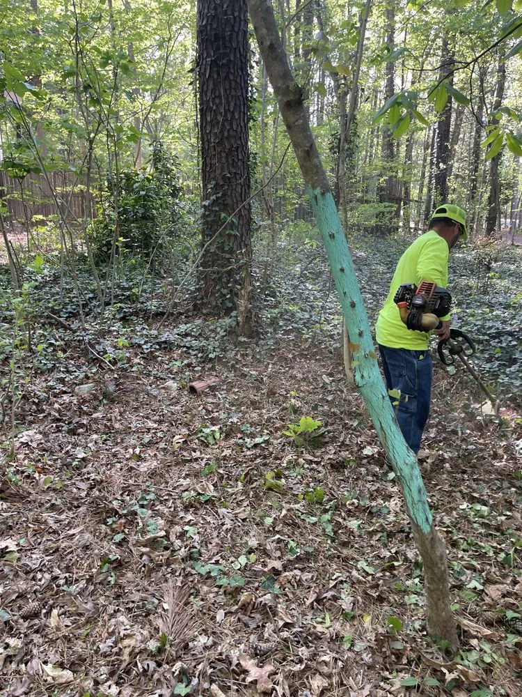 Expert residential landscaping near you in Raleigh, NC by Ruiz Lawn Care