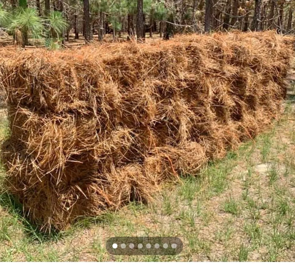 Reliable landscape design in Pageland, SC by Ruiz Lawn Care Service